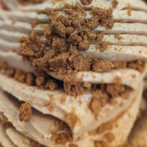 Spiced Lotus Biscuit gelato