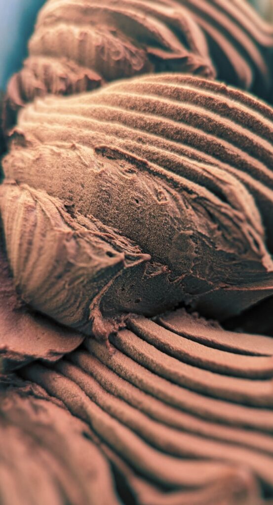 Dark Chocolate sorbet (vegan)