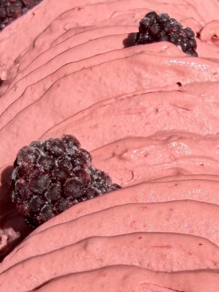 Freshly made artisan blackberry sorbet at La Gelatiera London